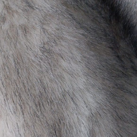 Luxurious Gray Teddy Jacket - Picture 7 of 7